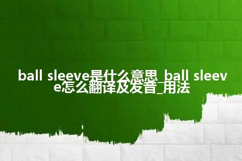 ball sleeve是什么意思_ball sleeve怎么翻译及发音_用法