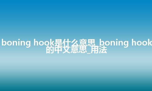 boning hook是什么意思_boning hook的中文意思_用法