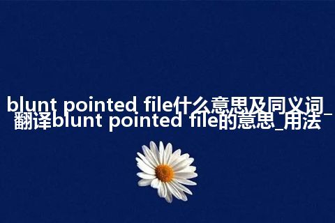 blunt pointed file什么意思及同义词_翻译blunt pointed file的意思_用法