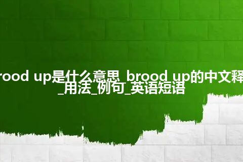brood up是什么意思_brood up的中文释义_用法_例句_英语短语
