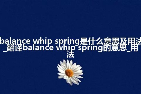 balance whip spring是什么意思及用法_翻译balance whip spring的意思_用法