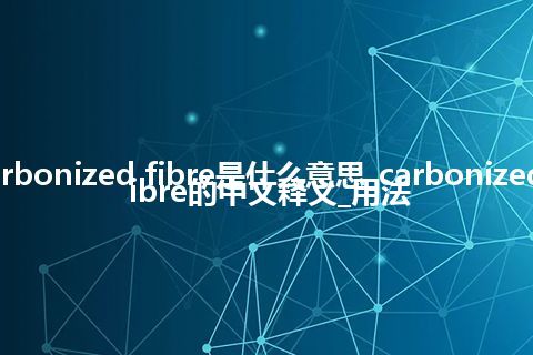 carbonized fibre是什么意思_carbonized fibre的中文释义_用法
