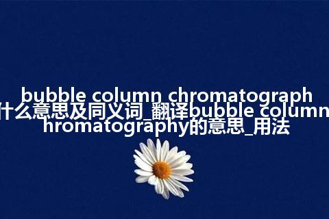 bubble column chromatography什么意思及同义词_翻译bubble column chromatography的意思_用法