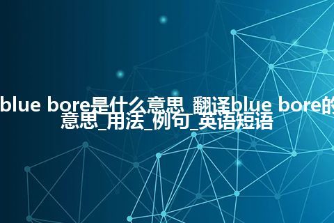 blue bore是什么意思_翻译blue bore的意思_用法_例句_英语短语