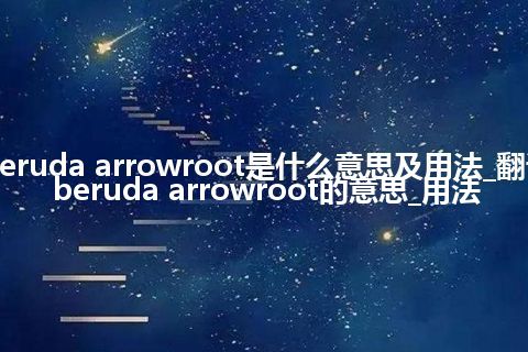 beruda arrowroot是什么意思及用法_翻译beruda arrowroot的意思_用法