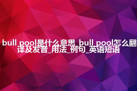 bull pool是什么意思_bull pool怎么翻译及发音_用法_例句_英语短语