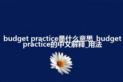 budget practice是什么意思_budget practice的中文解释_用法