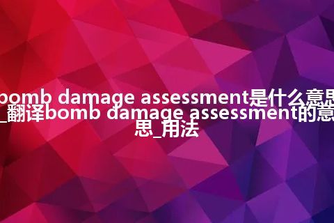 bomb damage assessment是什么意思_翻译bomb damage assessment的意思_用法