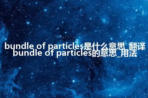 bundle of particles是什么意思_翻译bundle of particles的意思_用法
