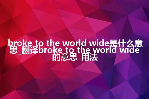 broke to the world wide是什么意思_翻译broke to the world wide的意思_用法