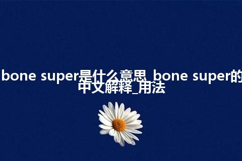 bone super是什么意思_bone super的中文解释_用法