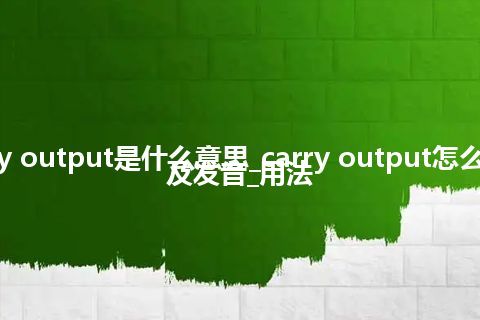 carry output是什么意思_carry output怎么翻译及发音_用法