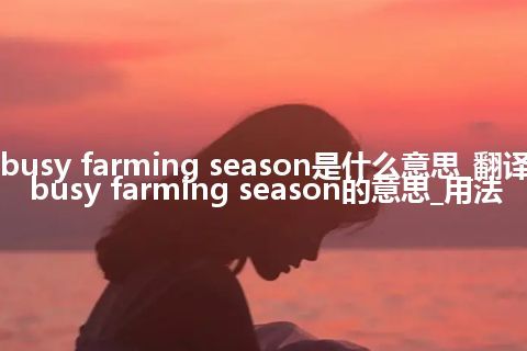 busy farming season是什么意思_翻译busy farming season的意思_用法