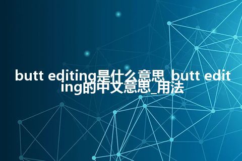 butt editing是什么意思_butt editing的中文意思_用法