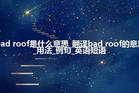 bad roof是什么意思_翻译bad roof的意思_用法_例句_英语短语