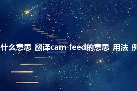 cam feed是什么意思_翻译cam feed的意思_用法_例句_英语短语