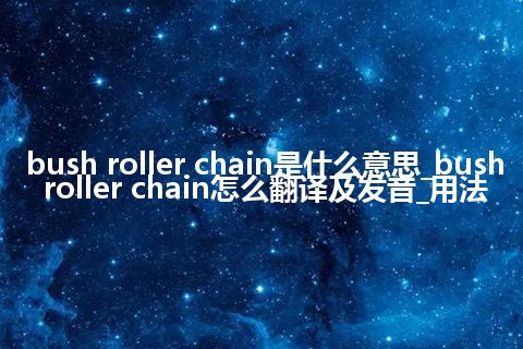bush roller chain是什么意思_bush roller chain怎么翻译及发音_用法