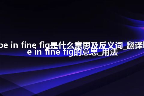 be in fine fig是什么意思及反义词_翻译be in fine fig的意思_用法