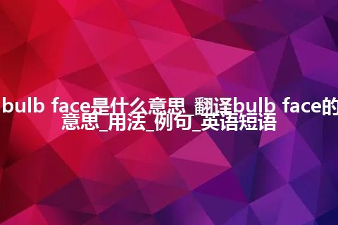 bulb face是什么意思_翻译bulb face的意思_用法_例句_英语短语