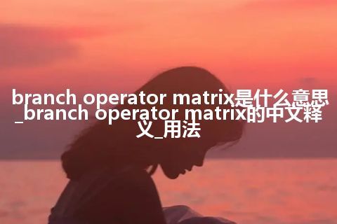 branch operator matrix是什么意思_branch operator matrix的中文释义_用法