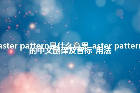aster pattern是什么意思_aster pattern的中文翻译及音标_用法
