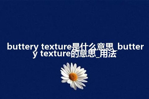 buttery texture是什么意思_buttery texture的意思_用法