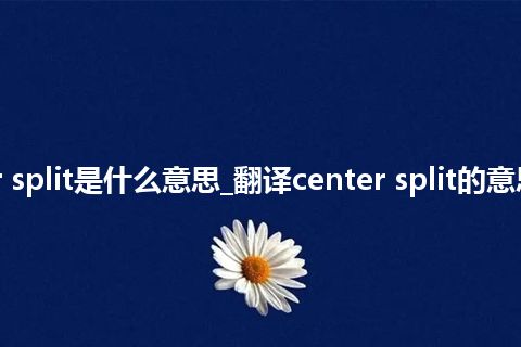center split是什么意思_翻译center split的意思_用法