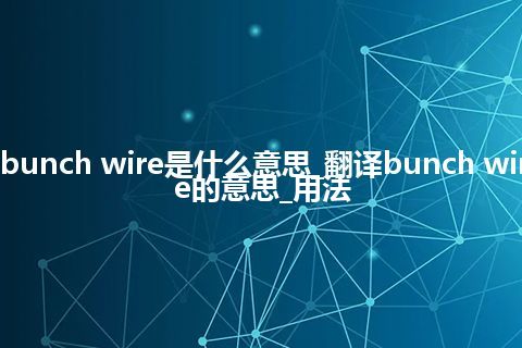 bunch wire是什么意思_翻译bunch wire的意思_用法