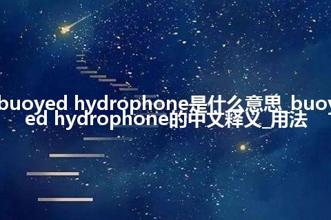 buoyed hydrophone是什么意思_buoyed hydrophone的中文释义_用法