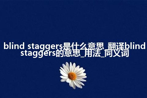blind staggers是什么意思_翻译blind staggers的意思_用法_同义词