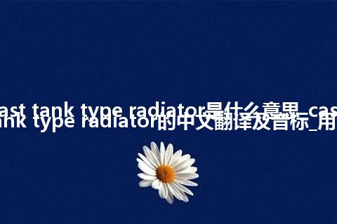 cast tank type radiator是什么意思_cast tank type radiator的中文翻译及音标_用法