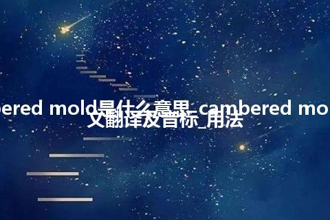 cambered mold是什么意思_cambered mold的中文翻译及音标_用法