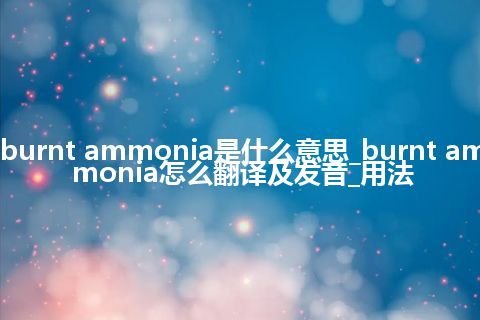 burnt ammonia是什么意思_burnt ammonia怎么翻译及发音_用法