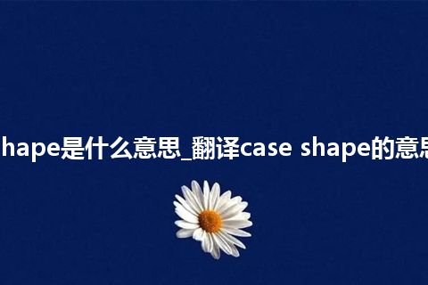 case shape是什么意思_翻译case shape的意思_用法