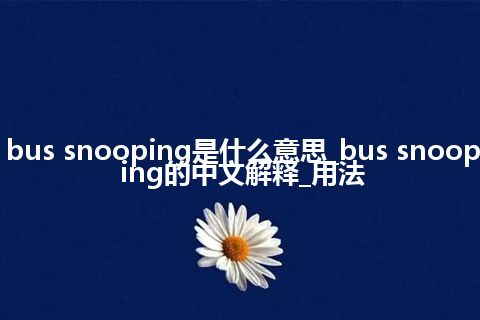 bus snooping是什么意思_bus snooping的中文解释_用法