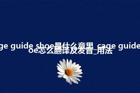 cage guide shoe是什么意思_cage guide shoe怎么翻译及发音_用法