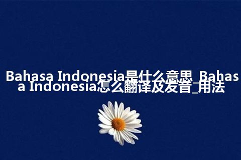 Bahasa Indonesia是什么意思_Bahasa Indonesia怎么翻译及发音_用法