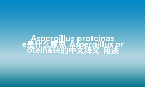 Aspergillus proteinase是什么意思_Aspergillus proteinase的中文释义_用法