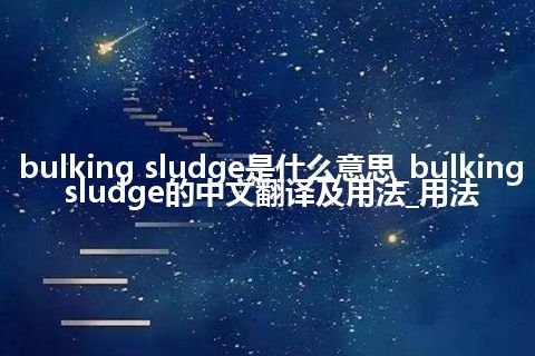 bulking sludge是什么意思_bulking sludge的中文翻译及用法_用法