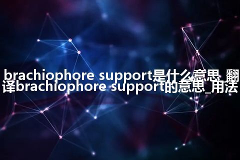 brachiophore support是什么意思_翻译brachiophore support的意思_用法
