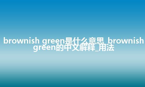 brownish green是什么意思_brownish green的中文解释_用法