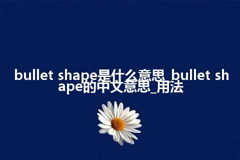 bullet shape是什么意思_bullet shape的中文意思_用法
