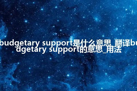 budgetary support是什么意思_翻译budgetary support的意思_用法