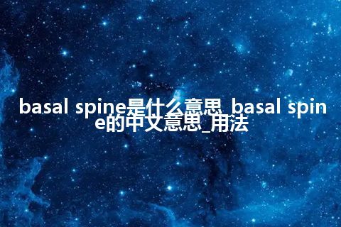 basal spine是什么意思_basal spine的中文意思_用法