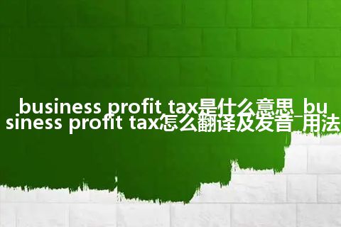business profit tax是什么意思_business profit tax怎么翻译及发音_用法