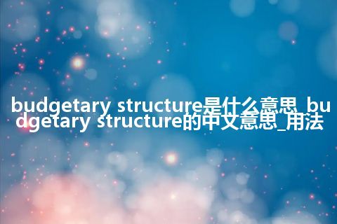 budgetary structure是什么意思_budgetary structure的中文意思_用法