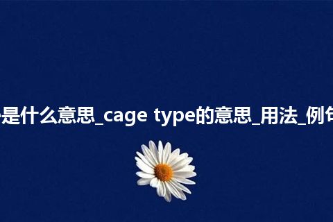 cage type是什么意思_cage type的意思_用法_例句_英语短语
