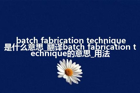 batch fabrication technique是什么意思_翻译batch fabrication technique的意思_用法