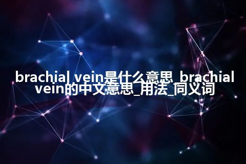 brachial vein是什么意思_brachial vein的中文意思_用法_同义词