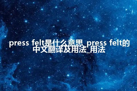 press felt是什么意思_press felt的中文翻译及用法_用法